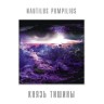НАУТИЛУС ПОМПИЛИУС - Князь Тишины (LP)