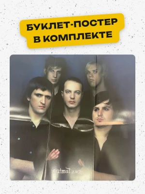 captions-carousel
