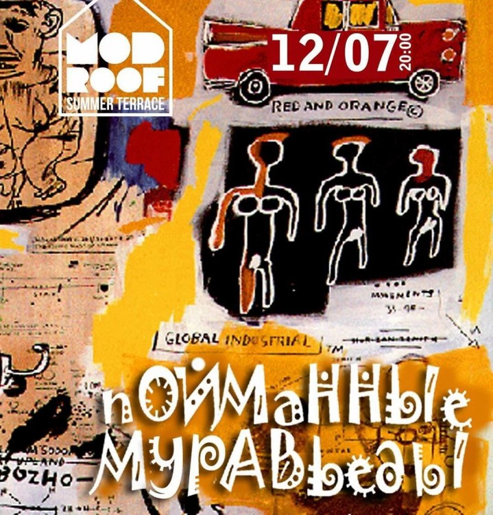 ПОЙМАННЫЕ МУРАВЬЕДЫ - КОРОЛИ ЧЕТВЕРГА