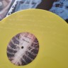 ПИЛОТ - Джоконда (2LP+CD) жёлтый