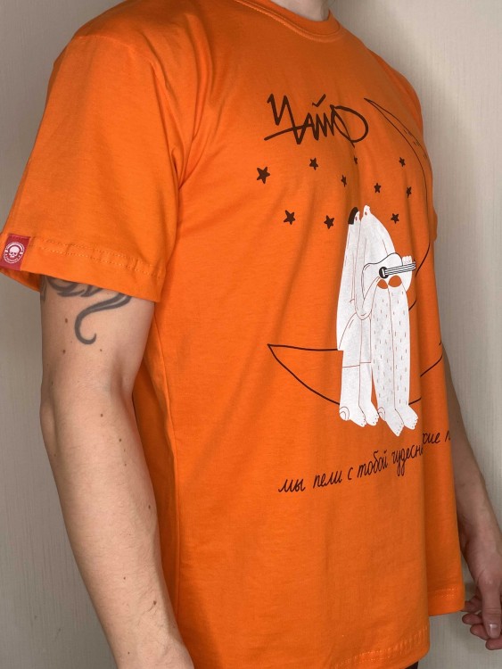 футболка - ЧАЙФ (МЫ ПЕЛИ С ТОБОЙ...)