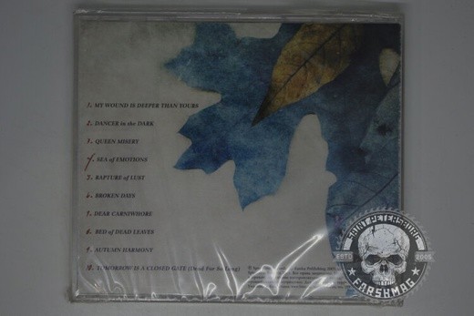 FOR MY PAIN - FALLEN