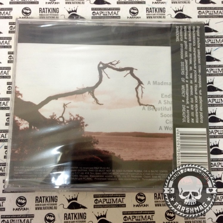 THE MIST OF AVALON - HERE AND AFTER