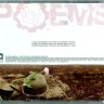The Poems – Two Fronts Of One Battle (CD)