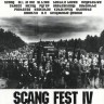 СБОРНИК (CD) - SCANG FEST IV