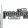 THE PRODIGY - EXPERIENCE