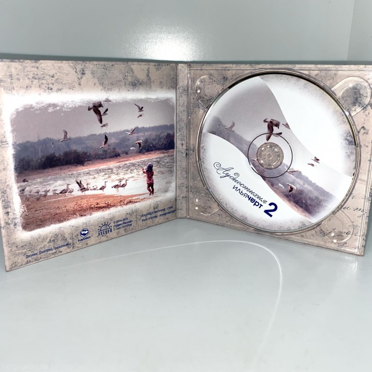 Илья (Чёрт) Кнабенгоф - АУДИОСТИХИЯ-II (CD)