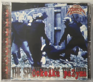 THE ПАУКИ - ОСКОЛКИ РАЗУМА