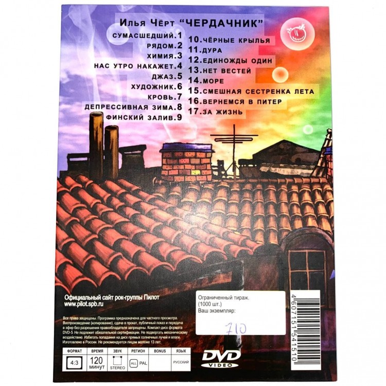 ПИЛОТ - ЧЕРДАЧНИК (DVD)