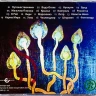 ХИМЕРА - Льды (CD) 