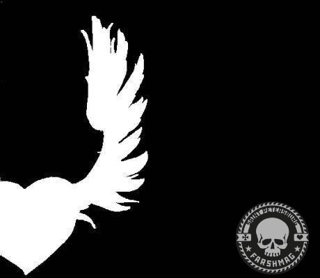 JANE AIR - СТЕКЛА СТЕКЛА