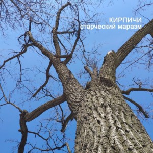 Кирпичи - Старческий маразм (LP)
