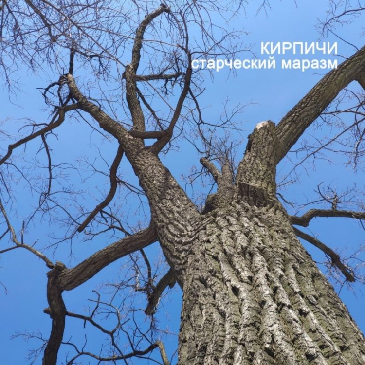 Кирпичи - Старческий маразм (LP)
