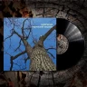 Кирпичи - Старческий маразм (LP)