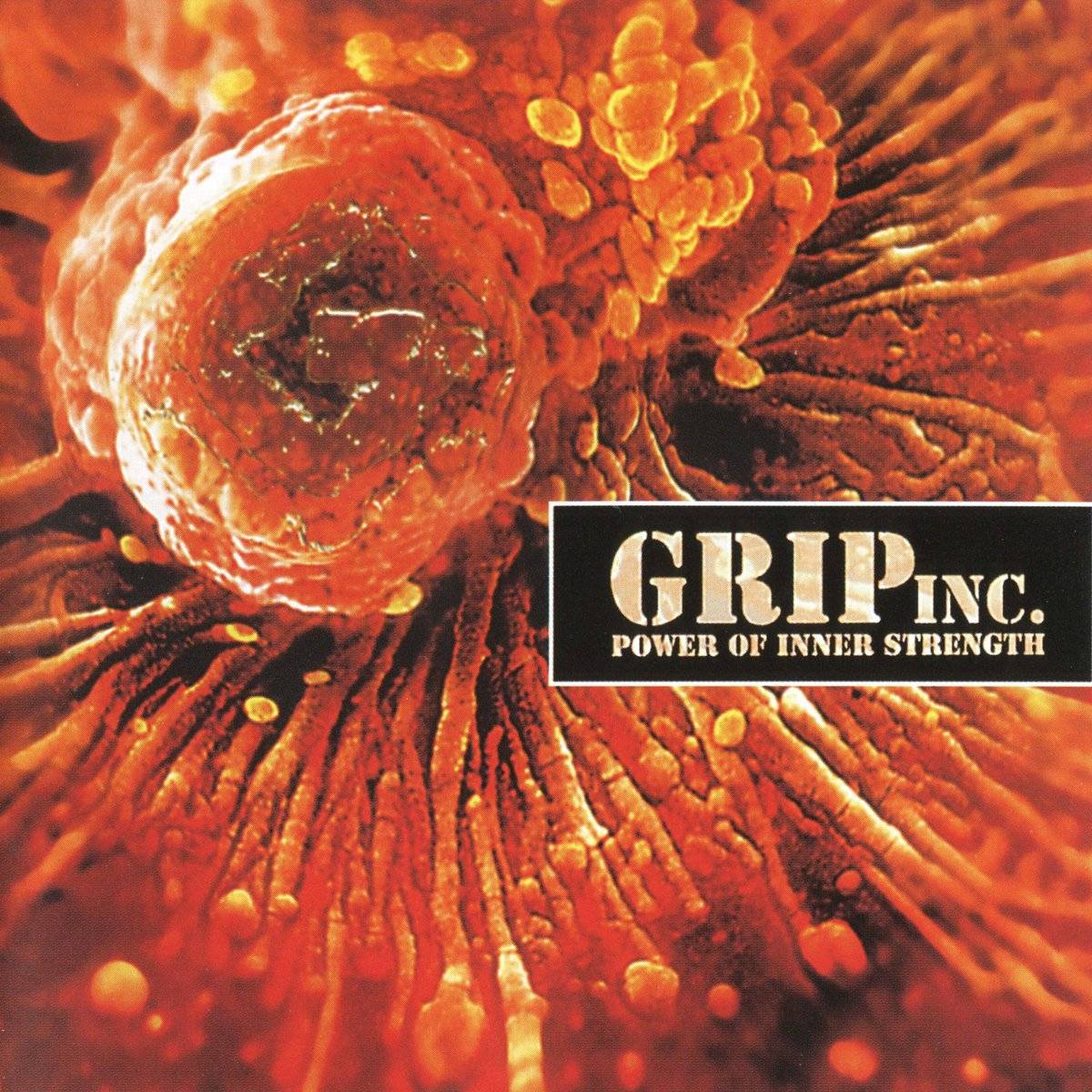 GRIP INC. - POWER OF INNER STRENGHT