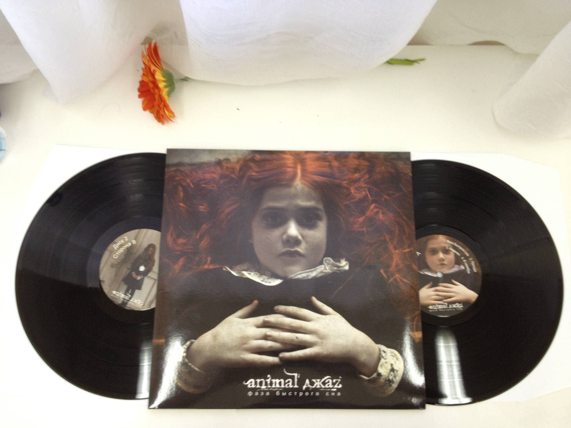 ANIMAL ДЖАZ - ФАЗА БЫСТРОГО СНА (2LP)