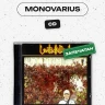 captions-carousel